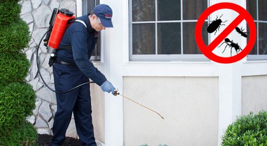 Yıkıkkemer Gümüşkurt İlaçlama böcek ilaçlama ve haşere kontrolü — ilaclama-tr.com